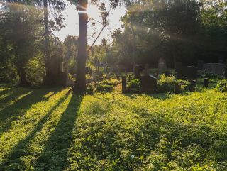 Rohrteich Rundweg