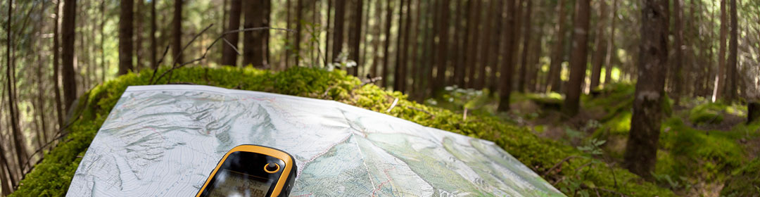 kleines GPS- Gerät im Wald